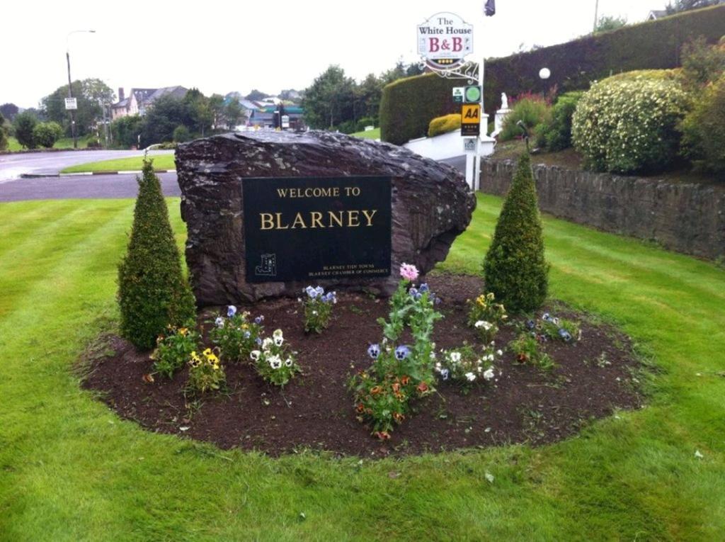 The White House B&B Cork Esterno foto